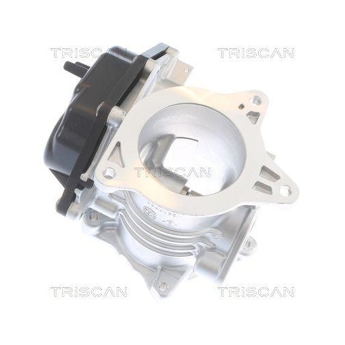 TRISCAN AGR-Ventil 8813 29348