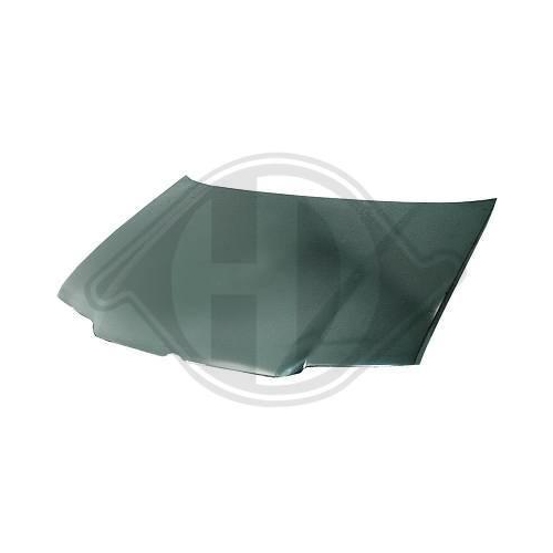 DIEDERICHS Motorhaube 2231000