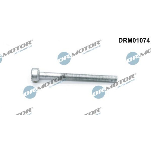 Dr.Motor Automotive Schraube, Einspritzd&uuml;senhalter DRM01074