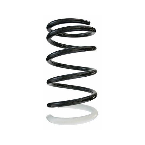 SPIDAN Fahrwerksfeder 87119