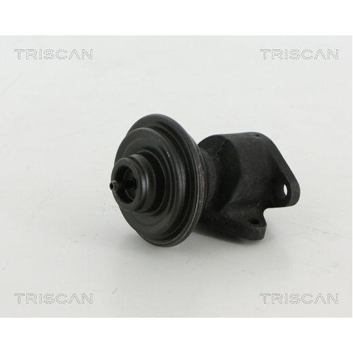 TRISCAN AGR-Ventil 8813 18035