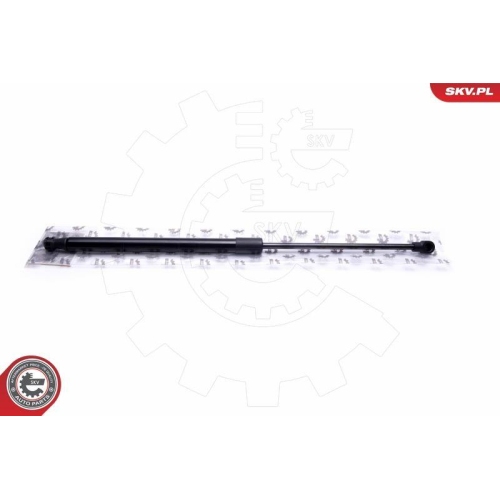 ESEN SKV Gasfeder, Koffer-/Laderaum