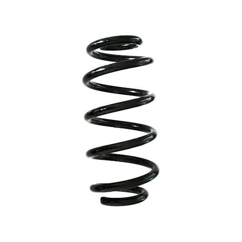SPIDAN Fahrwerksfeder GKNW10102