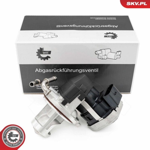 ESEN SKV AGR-Ventil 14SKV255