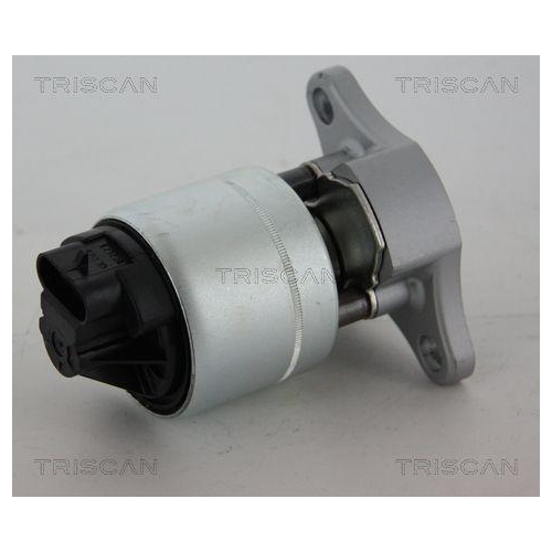 TRISCAN AGR-Ventil 8813 21006