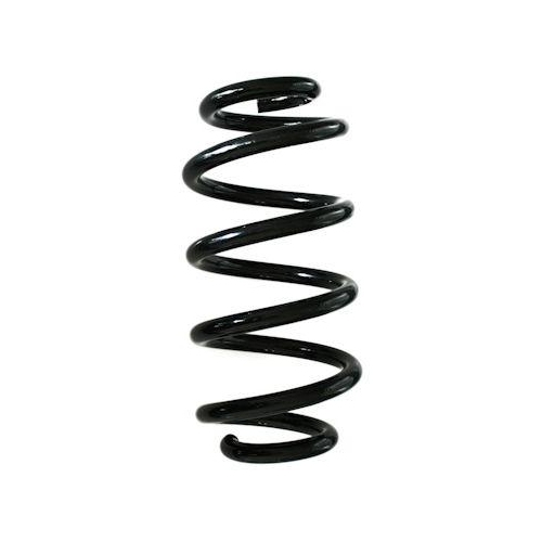 SPIDAN Fahrwerksfeder GKNW10103