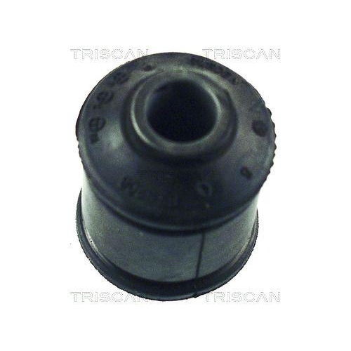 TRISCAN Lagerung, Lenker 8500 65806