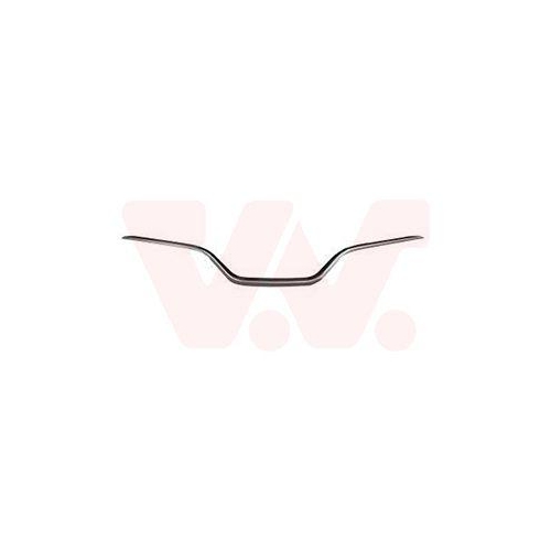 VAN WEZEL Zier-/Schutzleiste, K&uuml;hlergitter 4386517