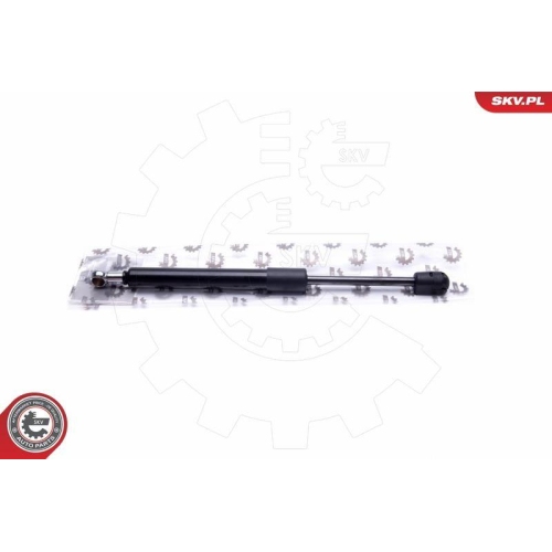 ESEN SKV Gasfeder, Koffer-/Laderaum