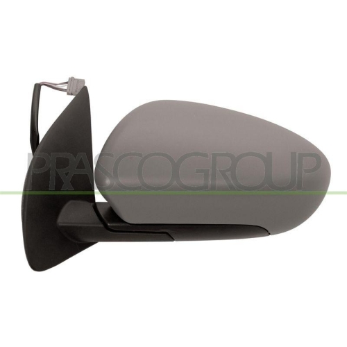 PRASCO Au&szlig;enspiegel Premium DS7107324P