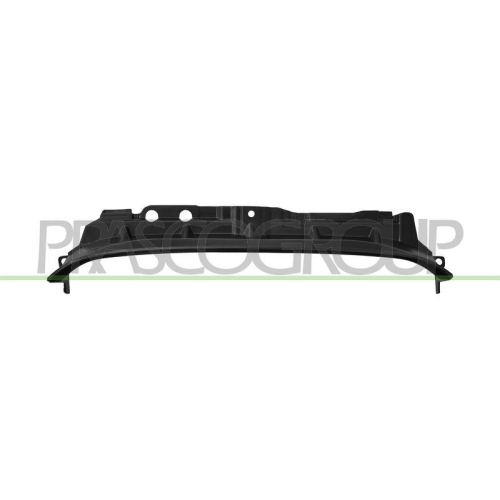 PRASCO Spoiler FD3442102