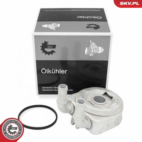 ESEN SKV &Ouml;lk&uuml;hler, Motor&ouml;l 31SKV307