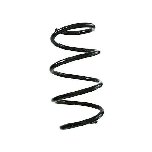 SPIDAN Fahrwerksfeder GKNW10106
