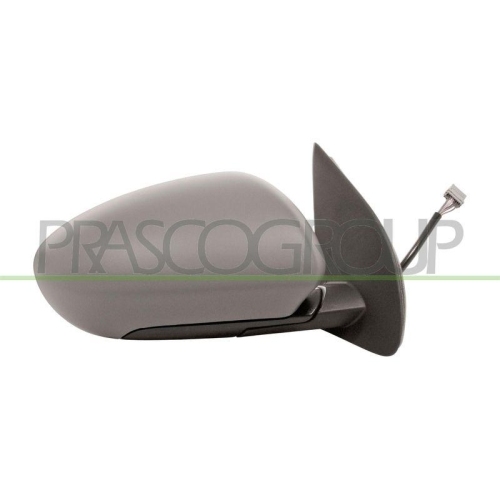 PRASCO Au&szlig;enspiegel Premium DS7107333P