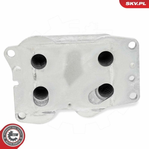 ESEN SKV &Ouml;lk&uuml;hler, Motor&ouml;l 31SKV308