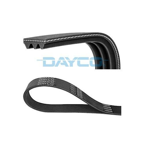 DAYCO Keilrippenriemen 3PK590