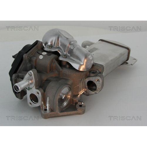 TRISCAN AGR-Ventil 8813 29304
