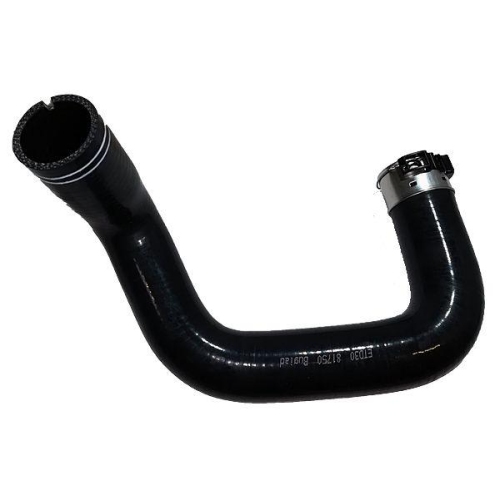 BUGIAD Ladeluftschlauch 81750