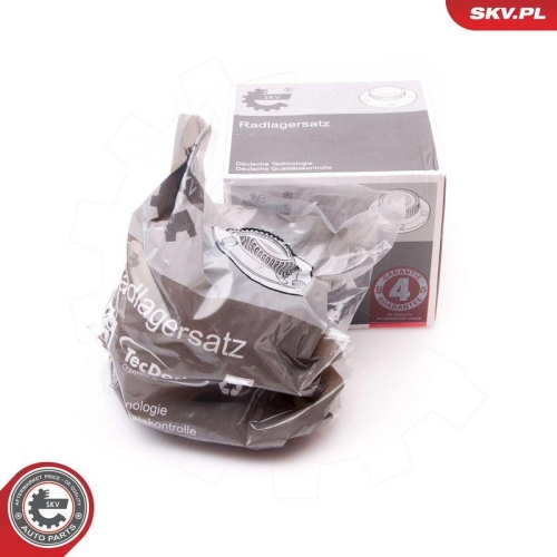 ESEN SKV Radlagersatz 29SKV056