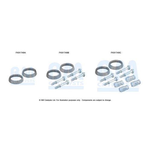 BM Catalysts Montagesatz, Katalysator FK91749