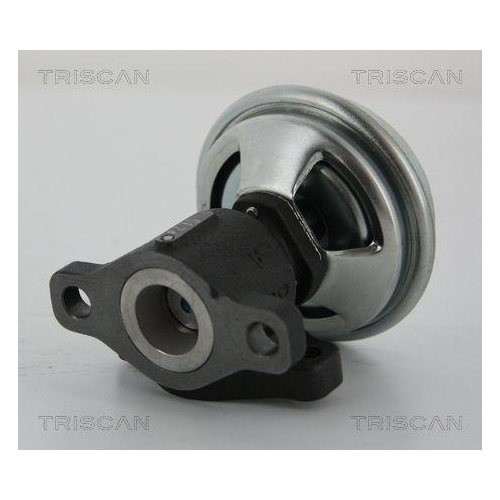 TRISCAN AGR-Ventil 8813 43005