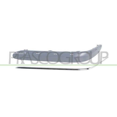 PRASCO Zier-/Schutzleiste, Sto&szlig;f&auml;nger Premium ME0281244