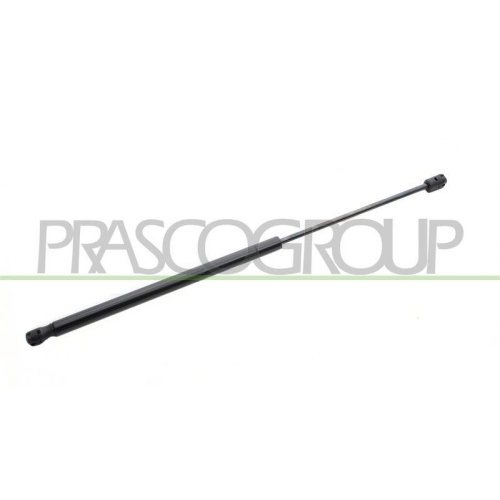 PRASCO Gasfeder, Koffer-/Laderaum LA0049055