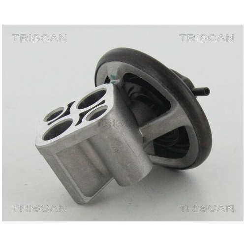 TRISCAN AGR-Ventil 8813 43007