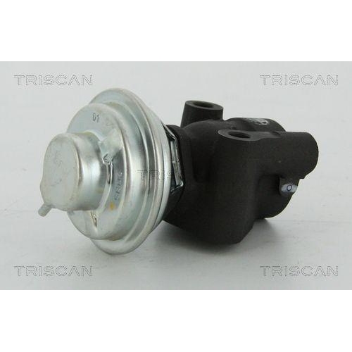 TRISCAN AGR-Ventil 8813 43016