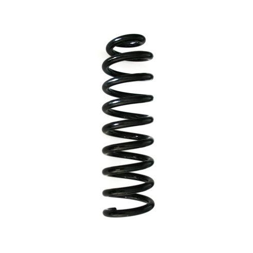 SPIDAN Fahrwerksfeder GKNW10116