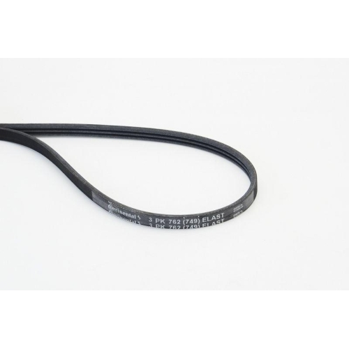 CONTINENTAL CTAM Keilrippenriemen 3PK762 ELAST