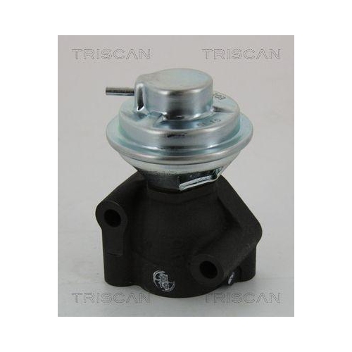 TRISCAN AGR-Ventil 8813 43040