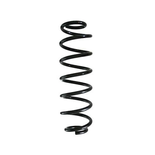 SPIDAN Fahrwerksfeder GKNW10119