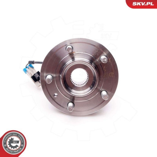 ESEN SKV Radlagersatz 29SKV061