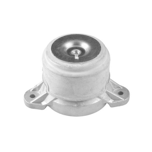 TEDGUM Lagerung, Motor TED79851