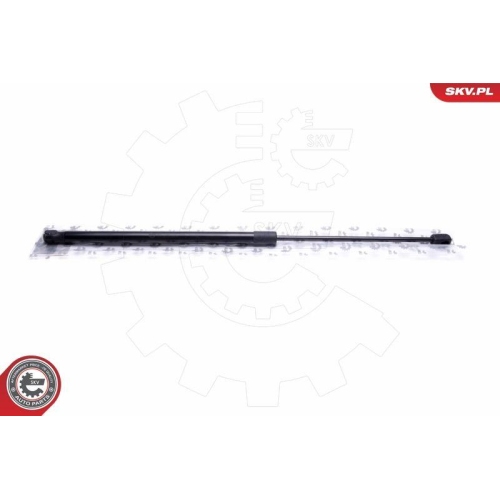 ESEN SKV Gasfeder, Koffer-/Laderaum