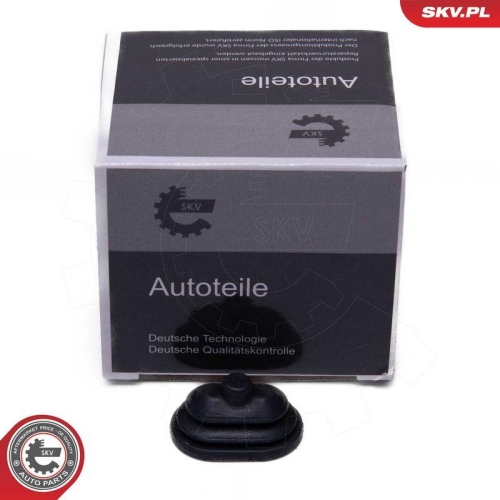 ESEN SKV Scharnier, Tankklappe