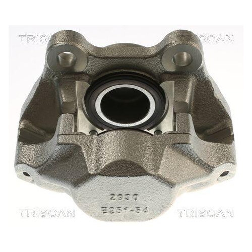 TRISCAN Bremssattel 8175 29138