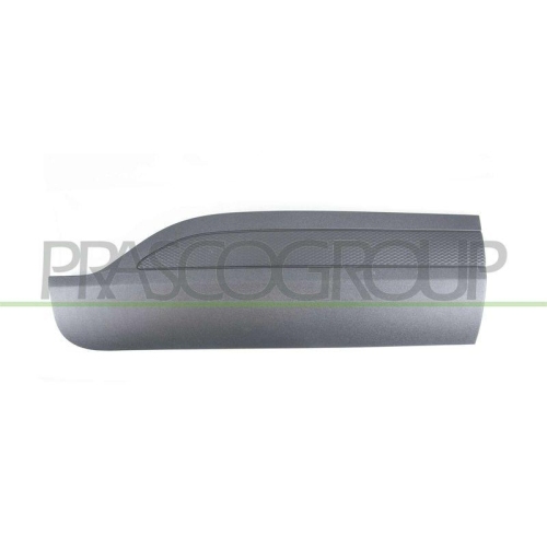 PRASCO Zier-/Schutzleiste, T&uuml;r FD8081453