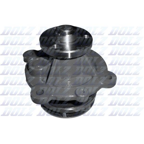 DOLZ Wasserpumpe, Motork&uuml;hlung D301