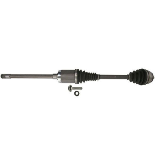 PASCAL Antriebswelle G2B059PC