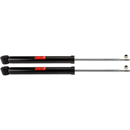 TRW Sto&szlig;d&auml;mpfer TRW TWIN JGT443T