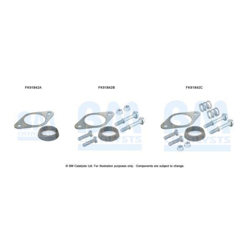 BM Catalysts Montagesatz, Katalysator FK91842