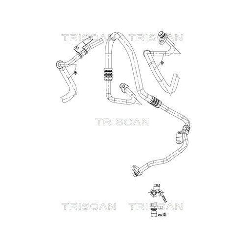 TRISCAN Hochdruck-/Niederdruckleitung, Klimaanlage 9010 25021