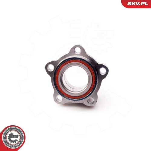 ESEN SKV Radlagersatz 29SKV064