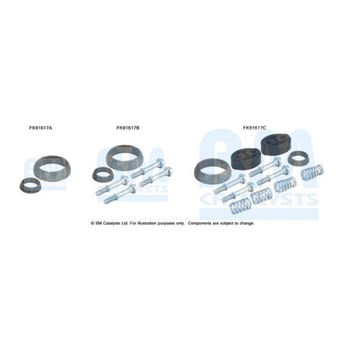 BM Catalysts Montagesatz, Katalysator FK91617