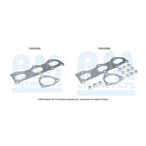 BM Catalysts Montagesatz, Katalysator FK91535