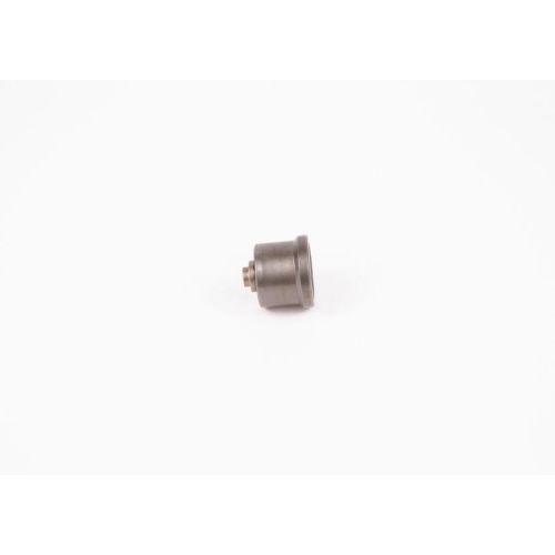 BOSCH Ventil 2 418 552 103