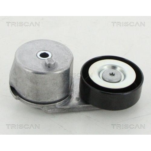 TRISCAN Riemenspanner, Keilrippenriemen 8641 243015