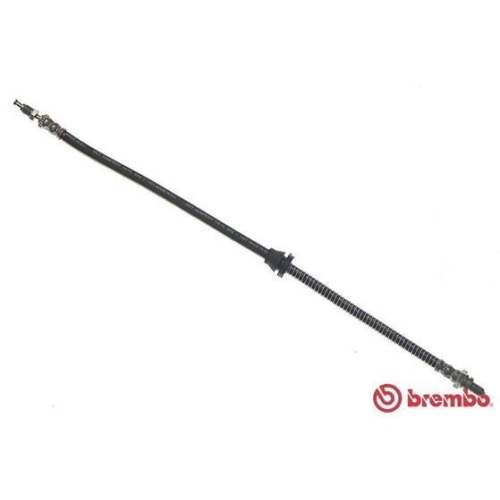 BREMBO Bremsschlauch ESSENTIAL LINE T 24 031